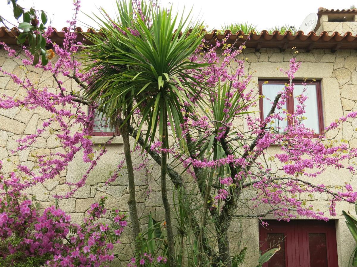 Villa Casa Dos Tinocos Braga Exterior foto